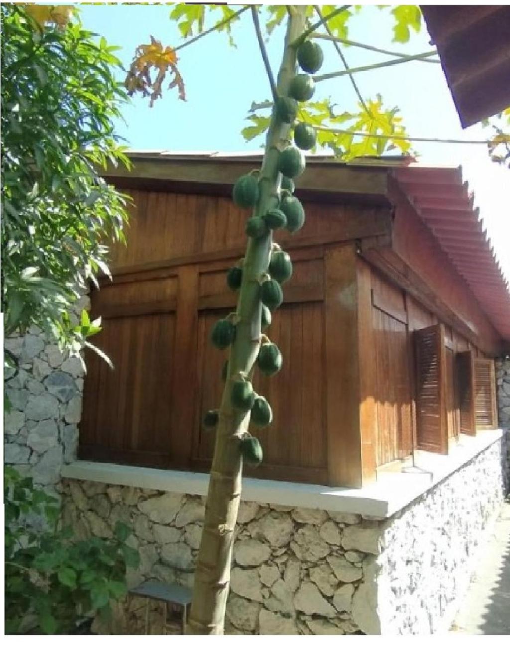 Completo Familias Campestre Privado Con Piscinas, Wifi, Ac Holiday home *