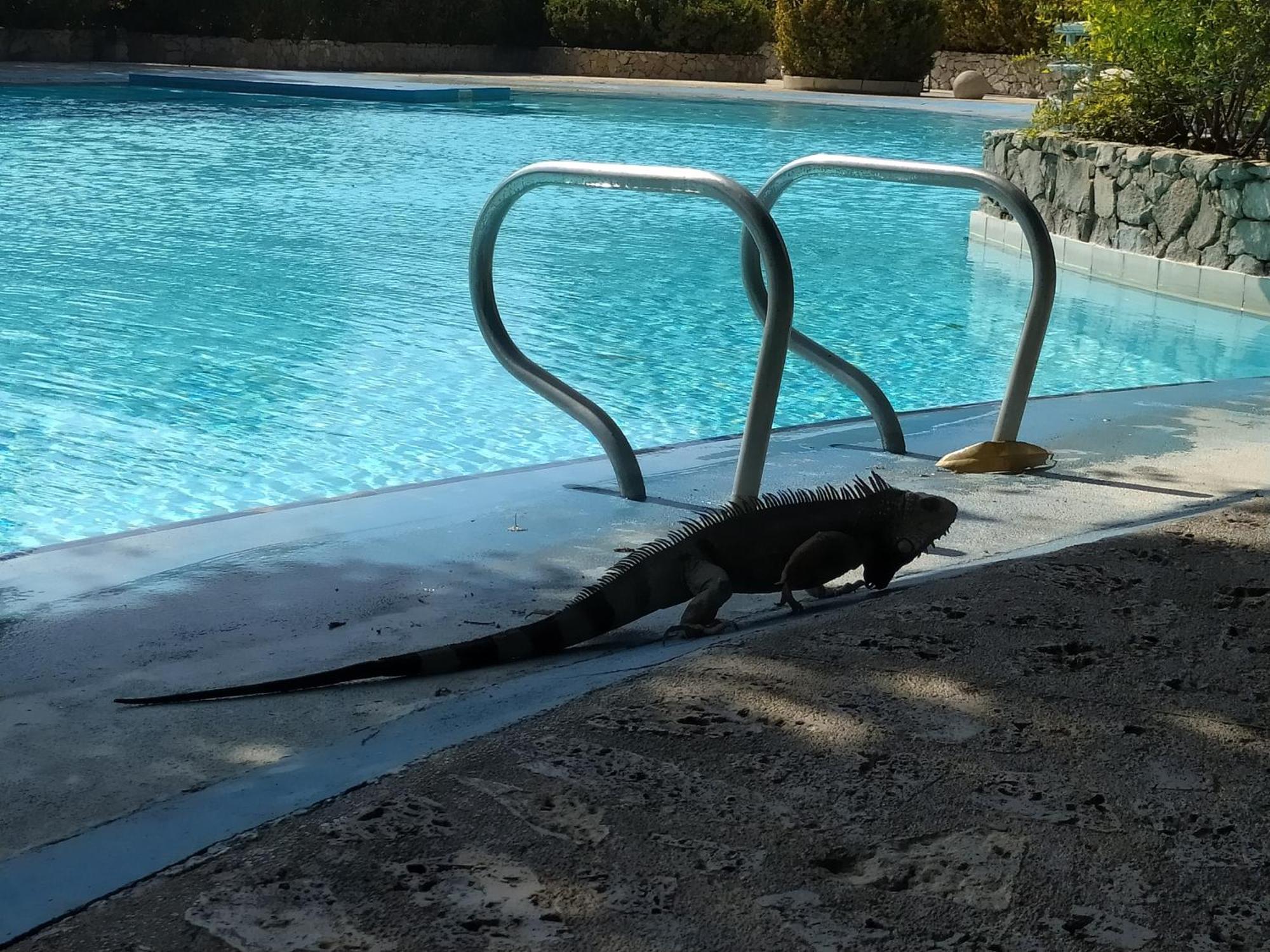 Completo Familias Campestre Privado Con Piscinas, Wifi, Ac Santa Marta (Magdalena)